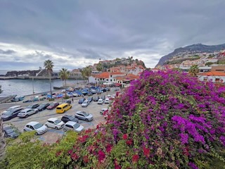 Overlooking Câmara de Lobos. Day 13/44 * 7 November 2022