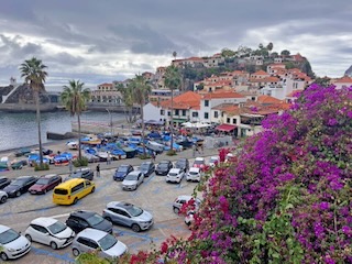 Overlooking Câmara de Lobos. Day 13/44 * 7 November 2022