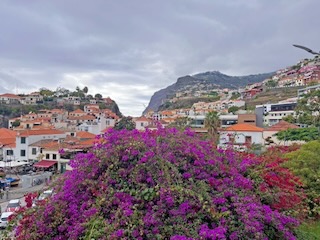 Overlooking Câmara de Lobos. Day 13/44 * 7 November 2022