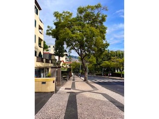 Street in Funchal. Day 14/44 * 8 November 2022