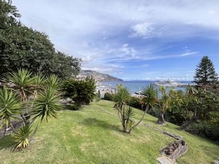 Overlooking the harbour from Santa Catarina Park. Day 14/44 * 8 November 2022