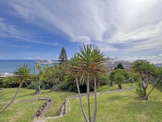 Cruise ships, Santa Catarina Park. Day 14/44 * 8 November 2022