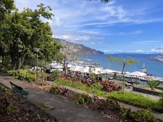 Overlooking the harbour from Santa Catarina Park. Day 14/44 * 8 November 2022