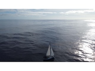 Alone and tiny on the Atlantic Ocean. Day 8/44 * 2 November 2022