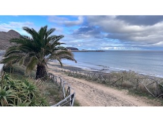 Praia do Penedo and Marina Porto Santo. Day 9/44 * 3 November 2022