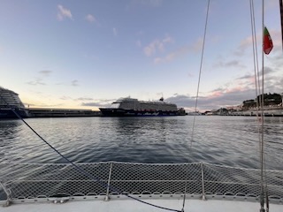 Cruise ship in Funchal harbour. Day 15/44 * 9 November 2022