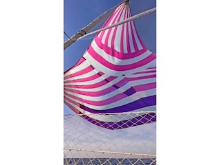 The spinnaker is up! Day 3/44 * 28 October 2022