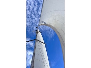 Both sails are up. Day 7/44 * 1 November 2022